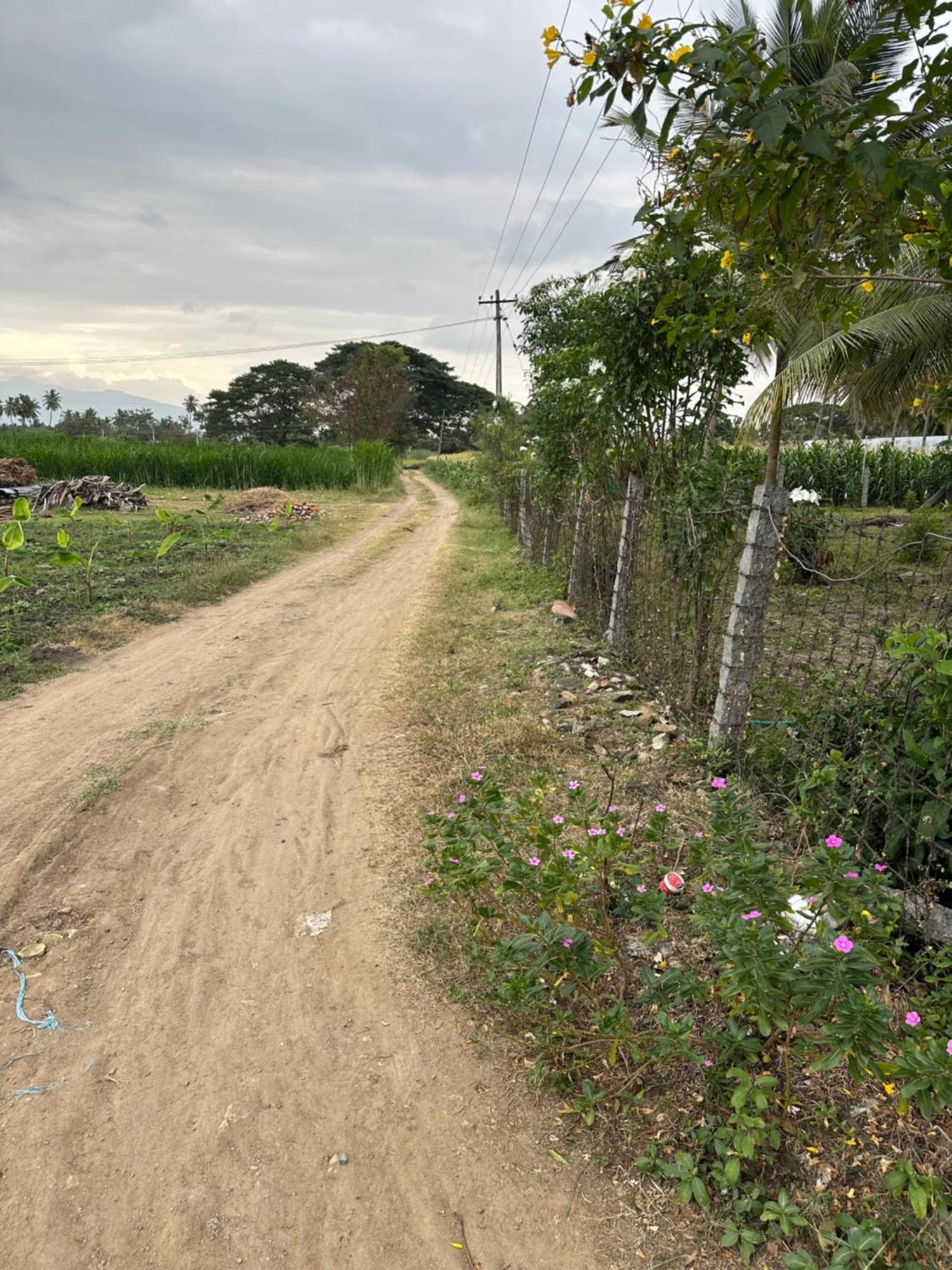 Sakthi Garden Home Stay Erode Buitenkant foto