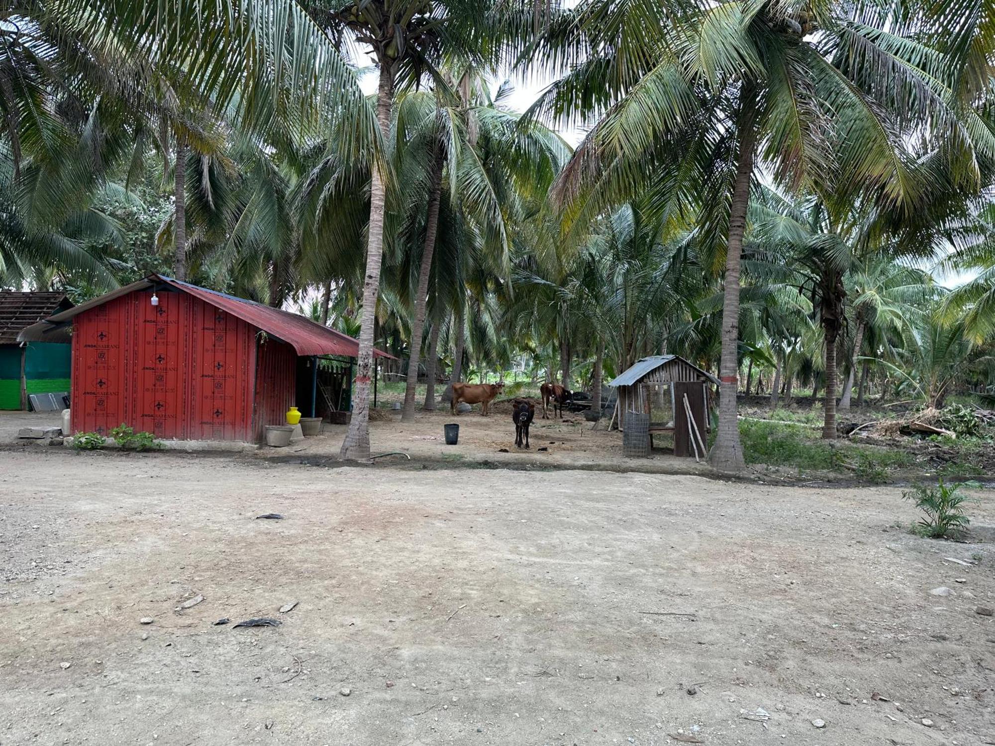 Sakthi Garden Home Stay Erode Buitenkant foto
